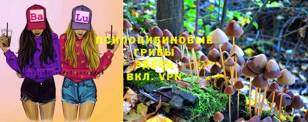 тгк Баксан