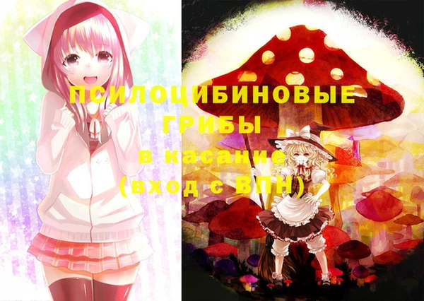 тгк Баксан