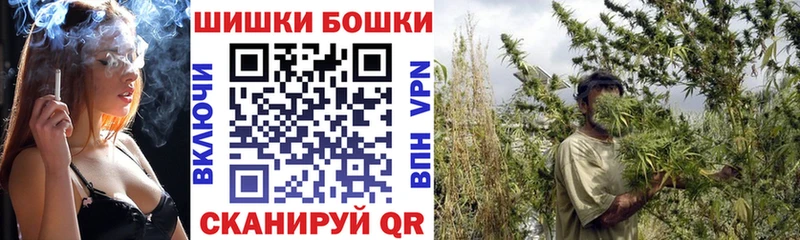 Каннабис сатива Озёры